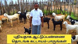 5 to 50 ஆடுகள் 18 மாதத்தில் - தளச்சேரி ஆடு வருமானம் நாட்டு ஆட்டிலும்| Goat farm video for Starters