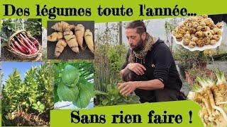 Des légumes toute l'année sans rien faire ! #Légumes vivaces