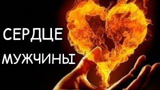 Настоящая правда "Сердце мужчины" Автор Ага Ибрагимов