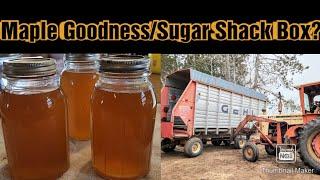 Maple Syrup Time/Repurposing An Old Chopper Box