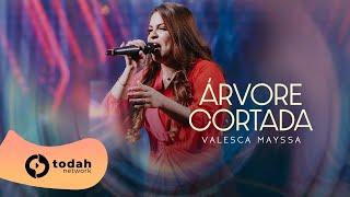 Valesca Mayssa | Árvore Cortada [Festival Verão 92 - Todah 10 Anos]