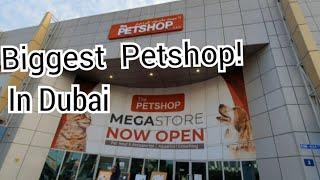 Biggest Petshop in Dubai | The Petshop