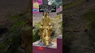 12 Easy hikes in Hong Kong  香港12條新手友善行山徑: 7. Ten Thousand Buddha Monastery 萬彿寺