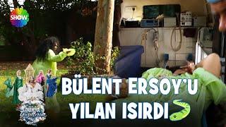 Bülent Ersoy'un yılan ile mücadelesi | Dünya Güzellerim (HD)