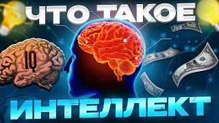 Гайд на интелект | Почему IQ тест не работает