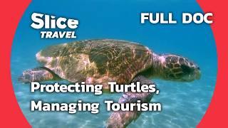 Saving Turtles vs. Tourism: Zakynthos & Santorini | SLICE TRAVEL |  FULL DOC