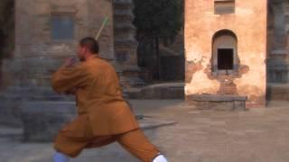 Damo Cane Shaolin Shifu Sal Redner