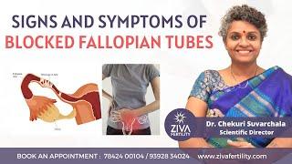 Treatment Options For Tubal Blockage || Blocked Fallopian Tubes || Dr Chekuri Suvarchala