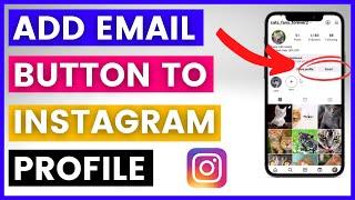 How To Add An Email Button To Instagram Profile? [in 2024]