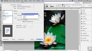 tutorial adobe indesign An Advanced Dialog About