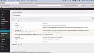 ZeroBounce WP Plugin Review - Watch Video ZeroBounce WP Plugin Demo