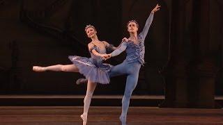 The Sleeping Beauty - Bluebird and Princess Florine pas de deux (The Royal Ballet)