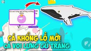 [PLAY TOGETHER] Cá Khổng Lồ Mới Cá Voi Lưng Gù Trắng, Thời Gian Câu CÁ VOI ĐẦU CONG