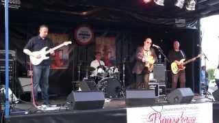 Lefthand Freddy: TV Blues -  Zoetermeer Blues 2014