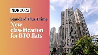New BTO flat categories: Standard, Plus, Prime | NDR 2023
