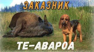 TheHunter Call of the Wild - Бизоны.  Вапити скалистых гор.  Индейка.  Вилороги  # 125