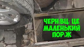 Чернівці на останньому місці по благоустрою?!? да ну? не може бути