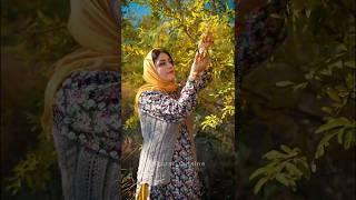 Anarbij | Preparing Local Stew with Wild Sour Pomegranates