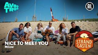 Milow - Nice To Meet You | Strandgasten