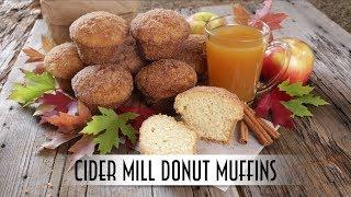 Cider Mill Donut Muffins | Baked not Fried