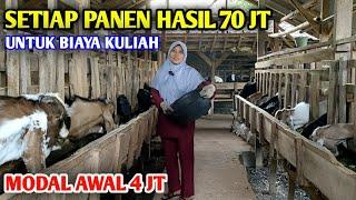 Wanita Sholehah Sukses Berternak, Setiap Panen Hasil 70 Jt Lebih