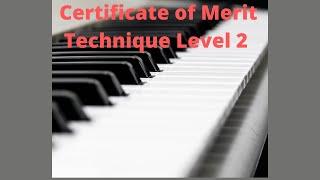 Certificate of Merit Technique Level 2