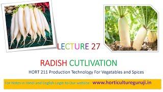 #HORT211 | Lecture 27 Radish | मूली की खेती