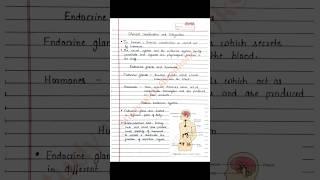 Class 11 Biology | Chemical coordination and integration handwritten notes | NCERT | CBSE | NEET JEE