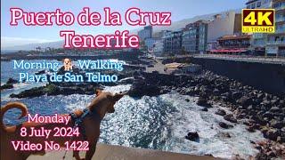 Tenerife ️ Puerto de la Cruz Morning 8 July 2024 Teneriffa
