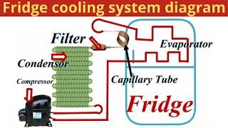 Fridge cooling system diagram ||  Refrigerator cooling system By Mian Electric