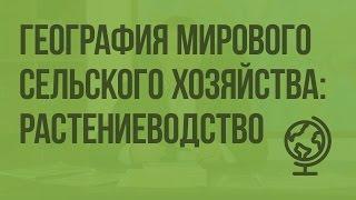 География мирового сельского хозяйства: растениеводство. Видеоурок по географии 10 класс