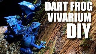 Building our large Dart Frog Nature Inspired Vivarium DIY