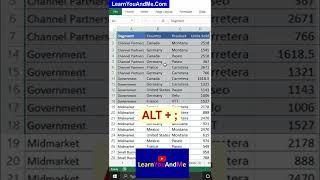 How to paste only visible cells in Excel | Copy paste visible cells in Excel