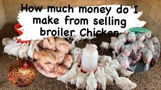 How much money do I make from selling broiler Chicken in South Africa | making money in poultry 2023