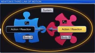 CBSE Class 11 Physics 5 || Laws of Motion || Full Chapter || by Shiksha House