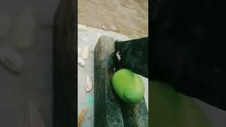 cutting of green mango for aachar ।।by TD art's tech।।A different view for art's।।