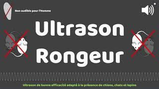 1 HEURE - Ultrason pour contre rongeurs, rats, souris adapté aux animaux compagnies