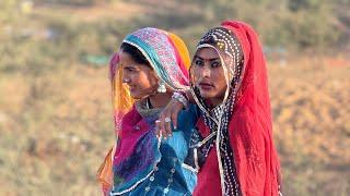 Cobra’s gipsis in Rajasthan || jaislmer pushkar kalbeliya