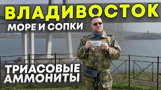 Палеонтолог в Приморье. Владивосток, море, сопки, триасовые аммониты