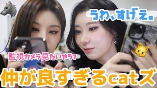 団体写真を撮った後のチェリョンが面白すぎるwwww[日本語字幕]