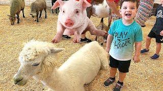 Kids Family Fun Trip to Petting Zoo with Farm Animals with Caleb Kids Show!