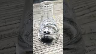 How Activated Carbon Spread in Water #shorts