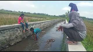 Video Pendek Guru Sambang SDN BLUKON