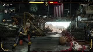 крашинг Mortal Kombat 11