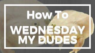 How To Wednesday My Dudes