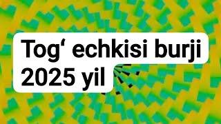 TOGʻ ECHKISI burji 2025 yilyulduzlar# ruhiyat#yangi yil#yangi oʻyin#bu juda qiziq#goroskop