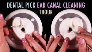ASMR. 1 Hour of Ear Canal Cleaning w/ Dental Pick (No Talking)