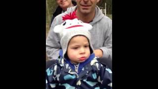 Zac at diamond valley miniature railway