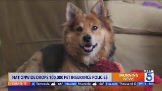 Nationwide Insurance to non-renew 100,000 pet insurance policies