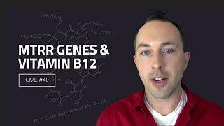 Your MTRR Genes and Vitamin B12 | Chris Masterjohn Lite #40